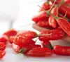 Retail sale online g shot goji berries 30 g berry 100 g 500g herb any quantity you want