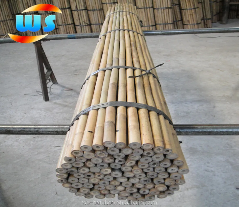 bamboo cane bamboo pole bamboo stake for agriculture botanical