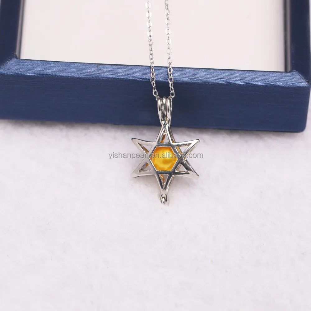 Wholesal Popular Style Dolphin dragonfly star Shape Pearl Pendant 925 Sterling Chain Cage For Pearl Necklace Lover's Gifts, You can choose the color you like
Wholesal Popular Style Dolphin dragonfly star Shape Pearl Pendant 925 Sterling Chain Cage For Pearl Necklace Lover's Gifts, You can choose the color you like
