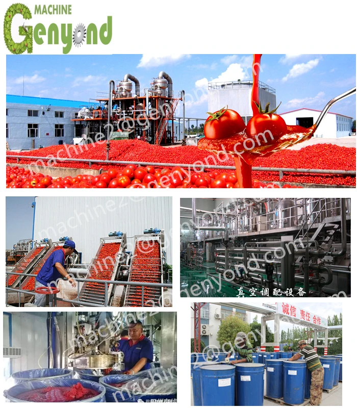 automatic tomato powder production line