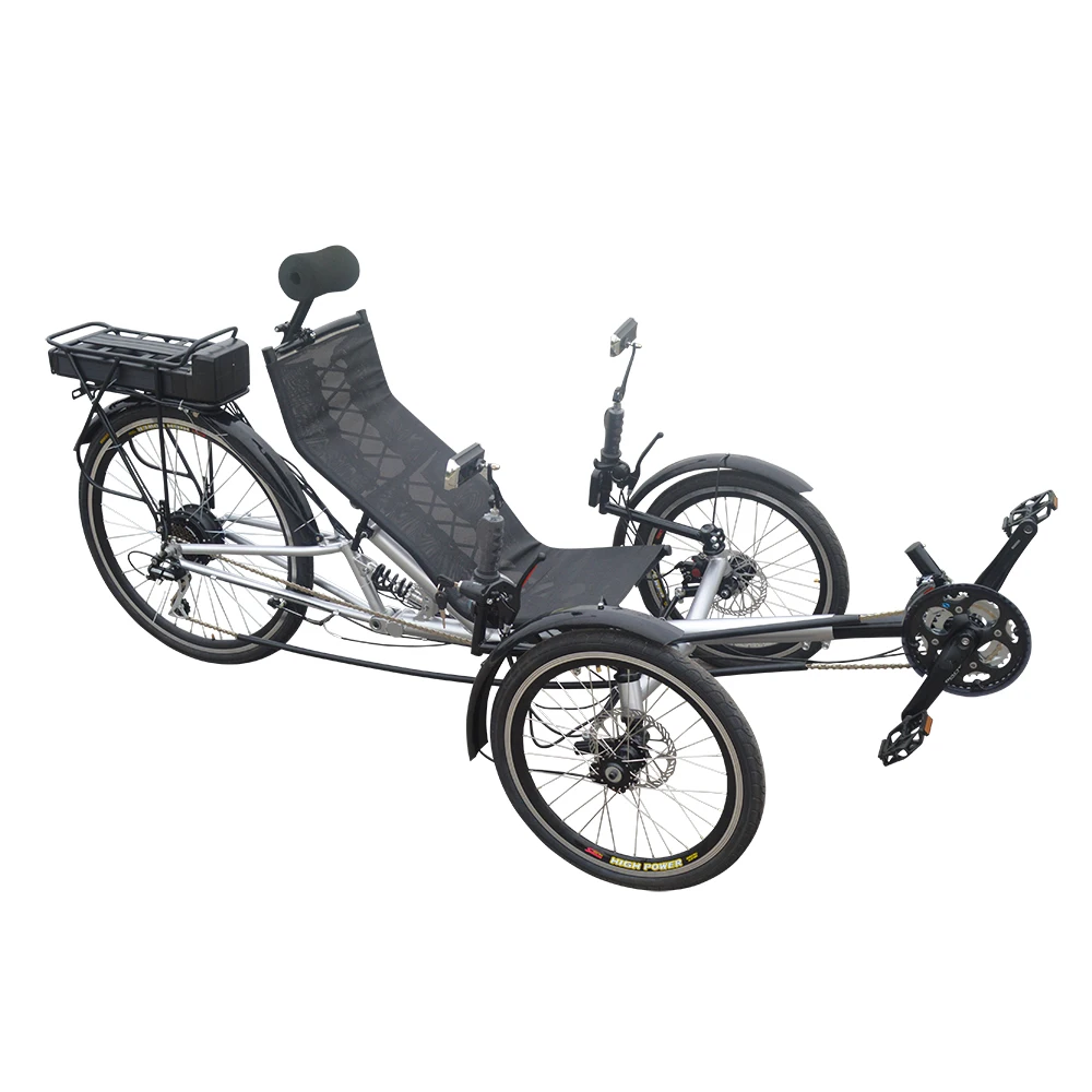 tadpole recumbent trike