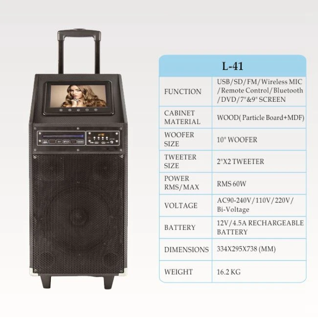 hua L-41 (1)