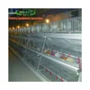 Poultry layers/broilers automatic feeding system