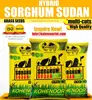 /product-detail/mutlicuts-sorghum-sudan-grass-seed-136774221.html