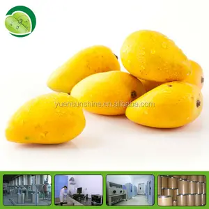 100% natural mango fruit extract