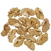 Wholesale yunnan light quarters Walnut kernel Supplier/ Walnut Kernel at Low Price