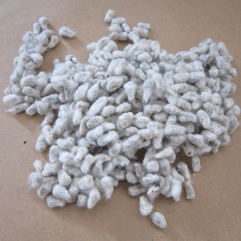 high quality cotton seed