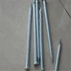 common wire nail /wood wire nail manufacturer