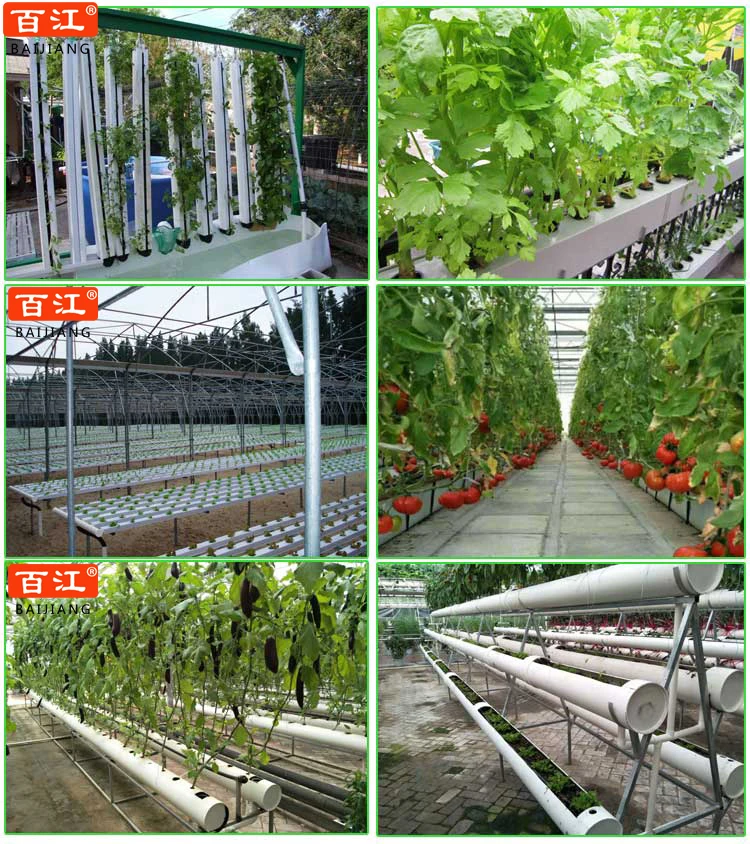 hydroponic application