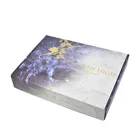 China Manufacturer Custom Printing Multi Layer Kraft Aircraft Gift Box