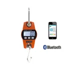 SF-916 High Quality Digital Professional Crane Weight Scale animal scale bluetooth