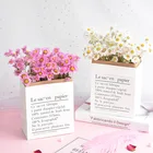 Natural Flowers Hot Sale Beautiful Pink White Small Chrysanthemum Natural Dried Daisy Flowers