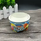 Hot Sale 6OZ 210ml Best Quality Ice Cream Cup With Lid