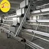 A type 4 tier chicken battery layer cages poultry feeder chain for poultry farm