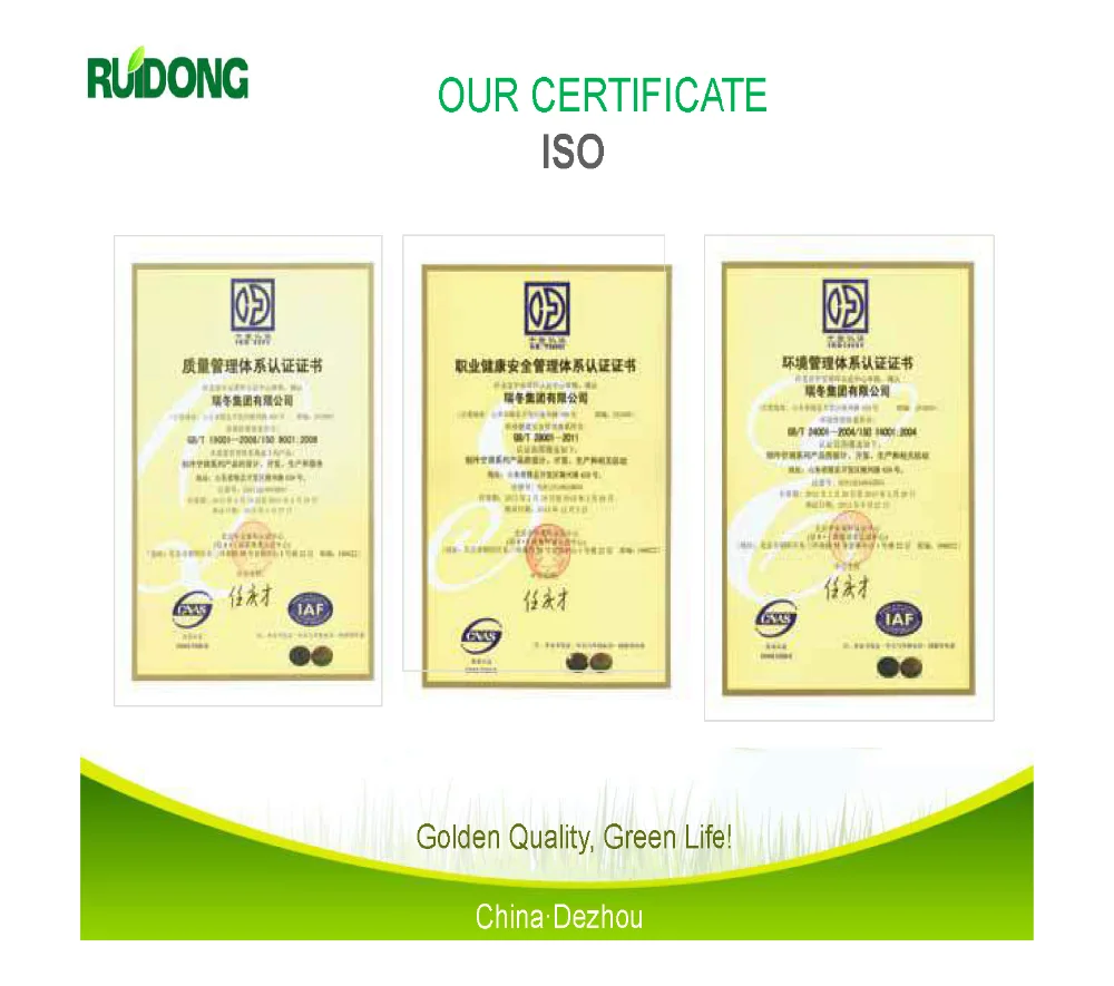 About Ruidong__19