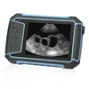/product-detail/portable-ultrasound-scanner-for-vet-62012443644.html