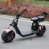 citycoco 2000w 2018 new model 2 wheel fat tire scooter electric off road 2 seat motorcycle scooter