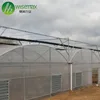 Lettuce system hydroponic green house,agriculture,used commercial greenhouses