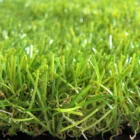 Aspetto naturale di colore verde erba artificiale erba sintetica per il tempo libero del paesaggio