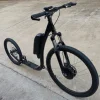 /product-detail/2019-electric-bike-new-design-electric-kick-scooter-adult-scooter-sy-sc2620e-s--62155975832.html