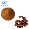 /product-detail/organic-reishi-mushroom-powder-ganoderma-lucidum-extract-60754216921.html