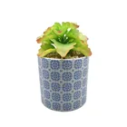 Ceramic planter faux succulent flower pot with decals