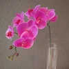 real touch latex orchid flower artificial