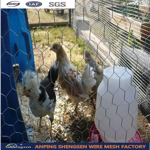 galvanized chicken wire mesh