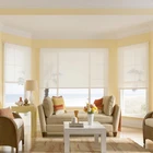 Easy Operation Customized Sunscreen indoor roller Blinds