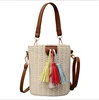 Summer small fresh women's bag straw fringe beach bucket bag