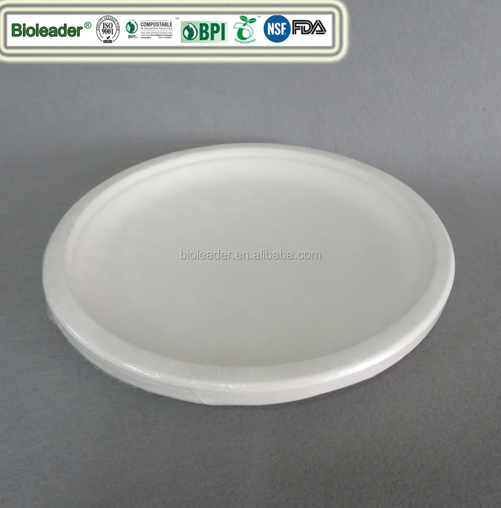 100% Biodegradable Disposable Sugarcane Pulp Party BBQ Plate