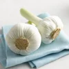 Wanted garlic fresh that fresh garlic buyer for Dubai market from fruit companies