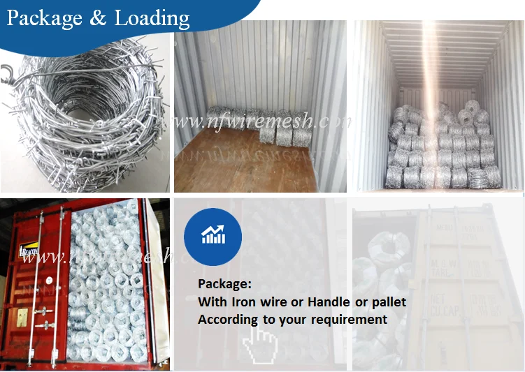 BWG14x14 or BWG16x16 electric / hot dipped barbed wire(Guangzhou Factory)