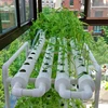 Small Home Growing Light Indoor Vertical Hydroponic plant Growing Systems For Sale