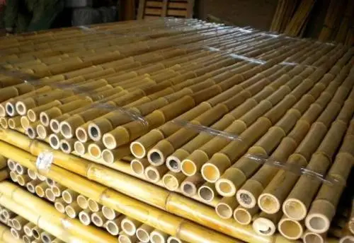 bamboo pole.jpg