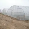 /product-detail/steel-structure-easy-installation-poly-tunnel-greenhouse-60704536343.html