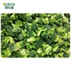 /product-detail/best-selling-from-china-iqf-frozen-broccoli-62021201098.html