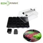 plants paper barley grow hydroponic float germination seed propagation tray