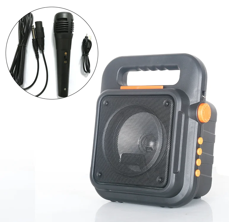Perfect sound 6.5inch portable outdoor speaker with fm radio - ANKUX.COM