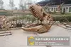 outdoor playground equipments- dinosaur skeleton- Triceratops skull