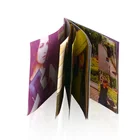 Color offset printing A4 saddle stitching lcd video brochure manual, adult sex magazine,Product publicity catalog