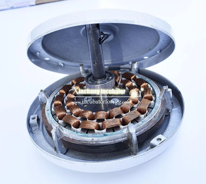 ceiling fan motor