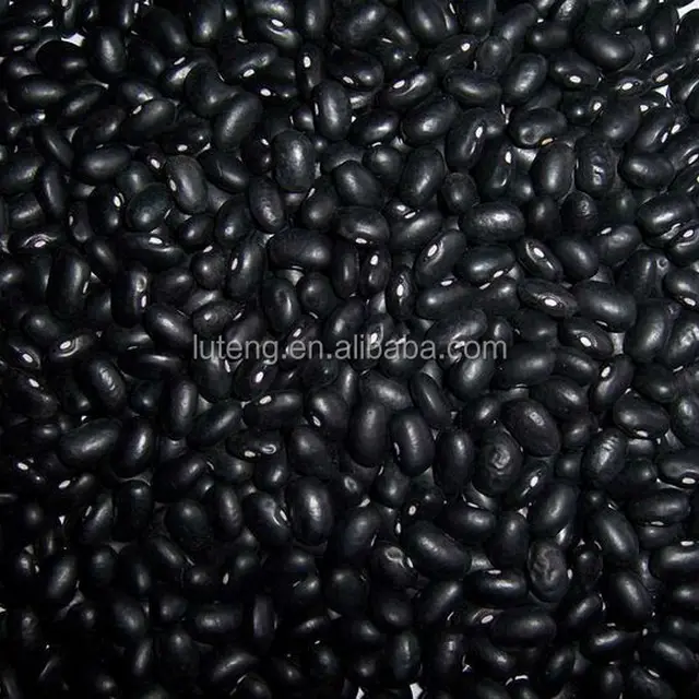 small black bean ro brazil market