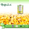 China sweet corn price