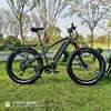 FREY HUNTER 1000W fat electric bike hunting bike with Bafang Ultra mid motor system