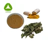 High Quality Mulberry Leaf Extract DNJ / Deoxynojirimycin Powder Used Tablets