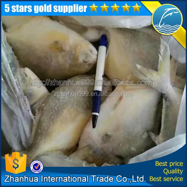 frozen golden pompano farm raised wholesale