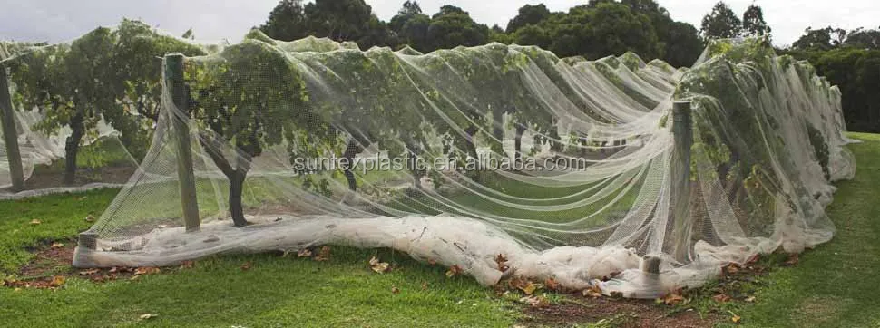abshade_birdnet
