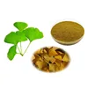 Best price Health care natural ginkgo biloba leaf extract,GMP Ginkgo biloba leaves for blood health