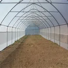 Plastic film tube frame greenhouse,greenhouse tomato seed